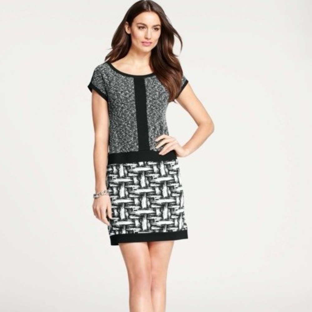 ANN TAYLOR Black & White Knit Abstract Shift Dress